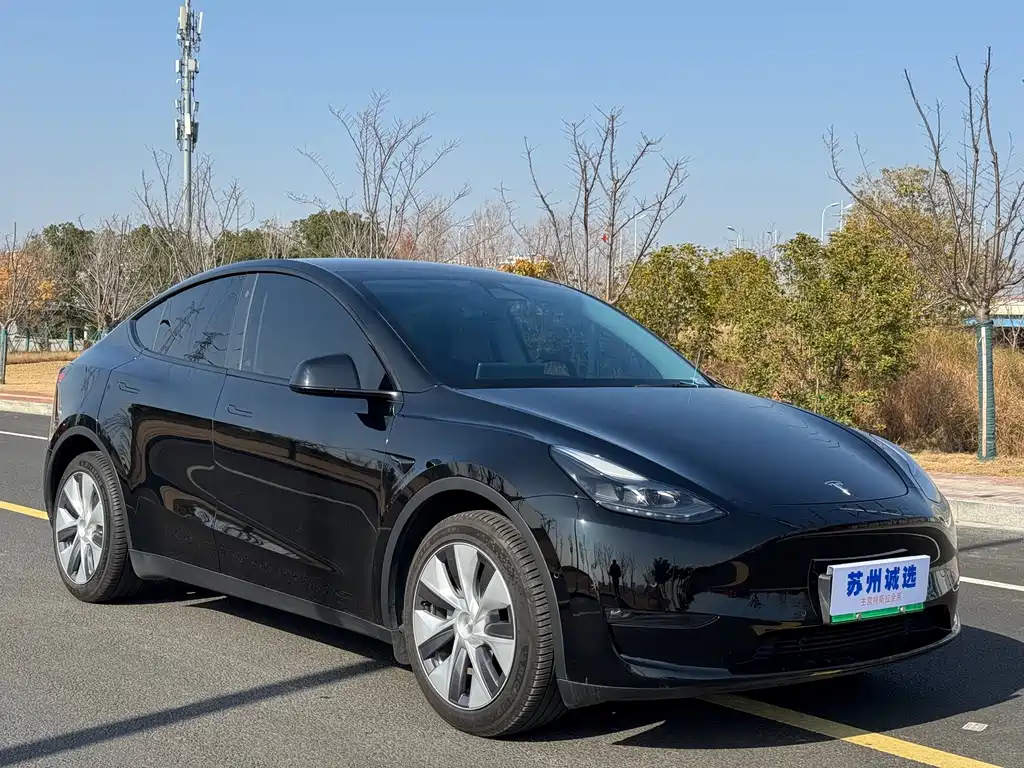 Tesla Model Y 2021 Standard Range Rear-Wheel Drive 2021 - thumbnail 3