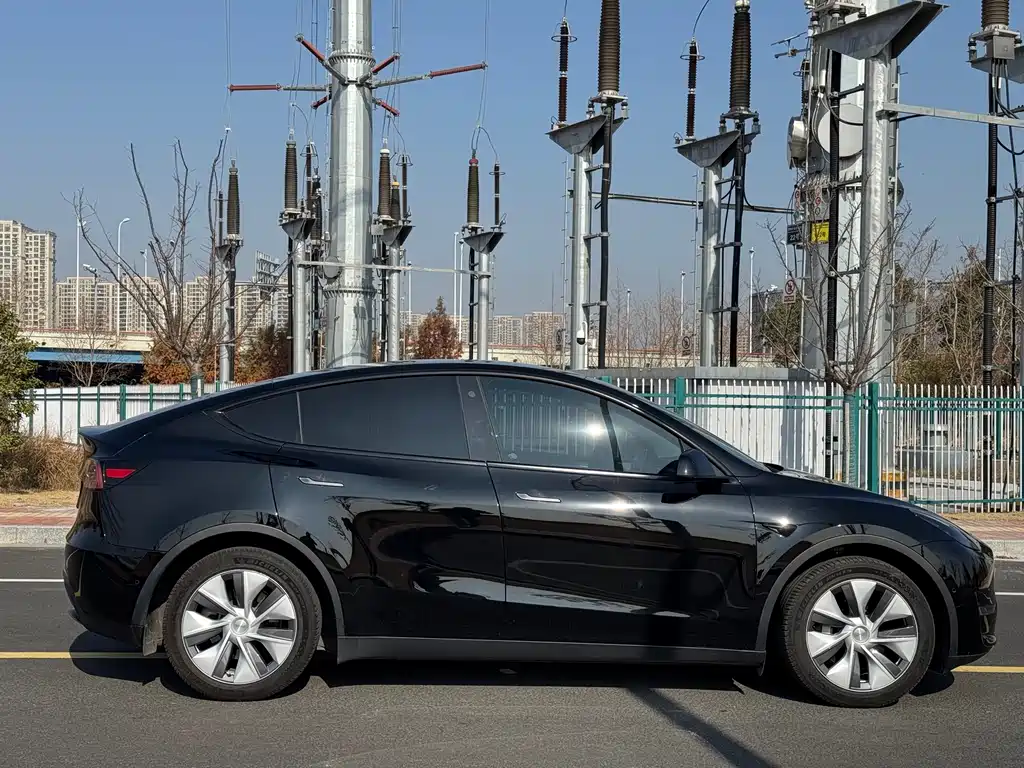 Tesla Model Y 2021 Standard Range Rear-Wheel Drive 2021 - thumbnail 4