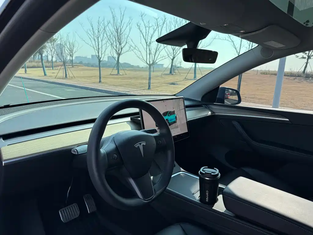 Tesla Model Y 2021 Standard Range Rear-Wheel Drive 2021 - thumbnail 5