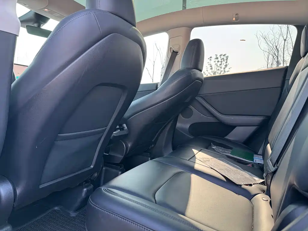 Tesla Model Y 2021 Standard Range Rear-Wheel Drive 2021 - thumbnail 6