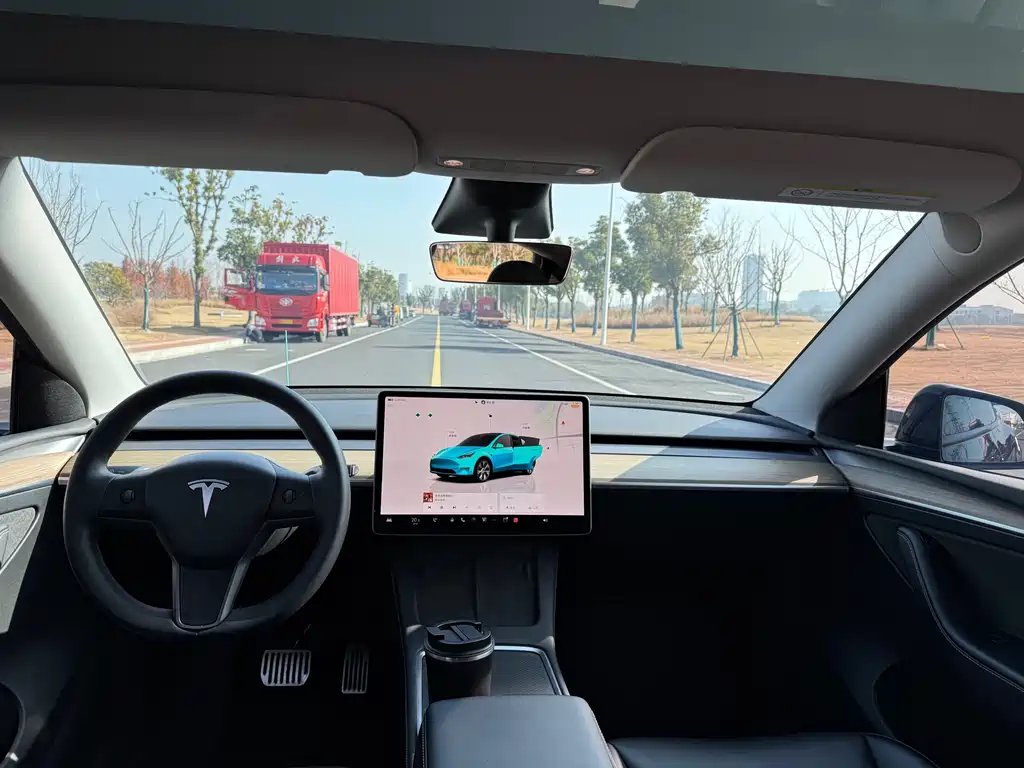 Tesla Model Y 2021 Standard Range Rear-Wheel Drive 2021 - thumbnail 8
