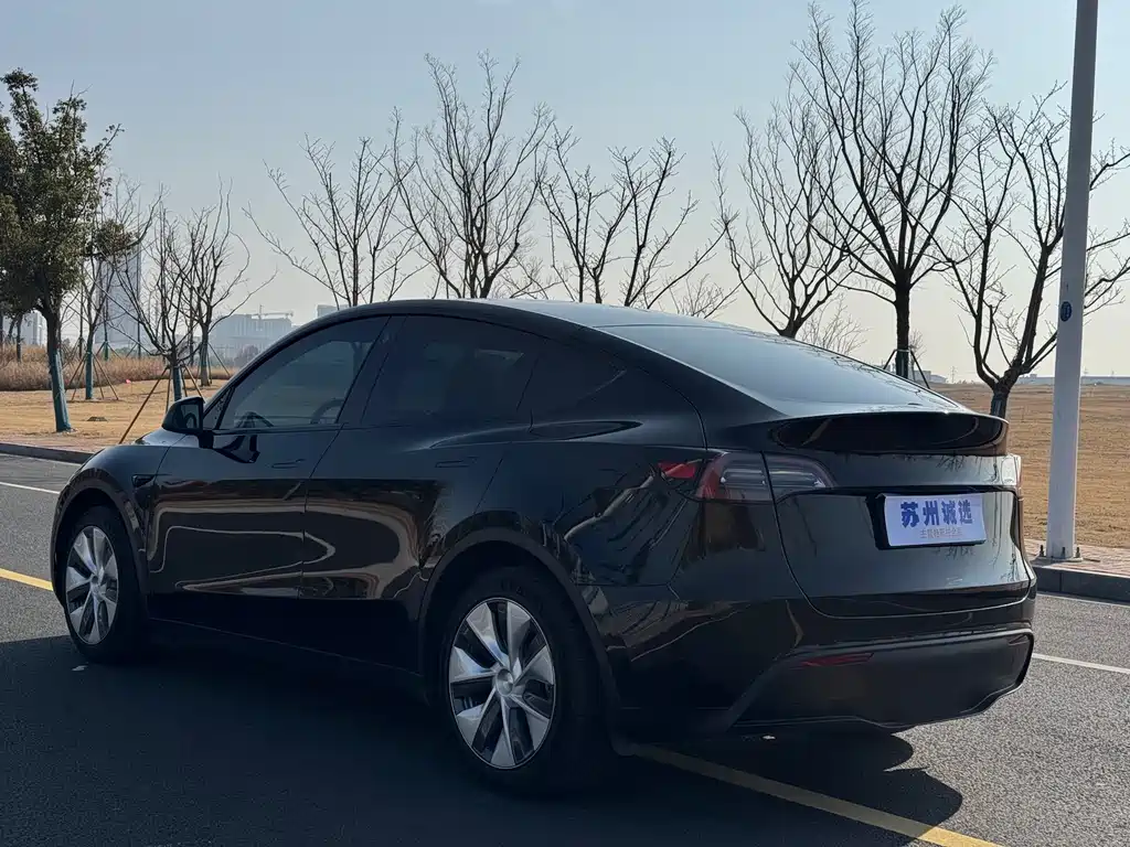 Tesla Model Y 2021 Standard Range Rear-Wheel Drive 2021 - thumbnail 9