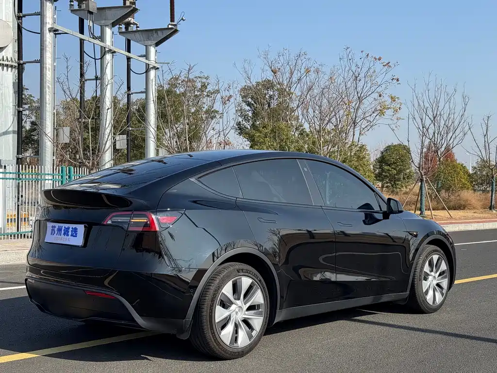 Tesla Model Y 2021 Standard Range Rear-Wheel Drive 2021 - thumbnail 10