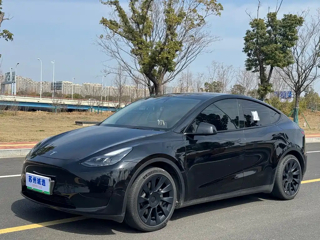 Tesla Model Y 2022 Rear-Wheel Drive 2022