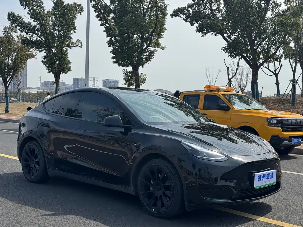 Tesla Model Y 2022 Rear-Wheel Drive 2022 - thumbnail 2