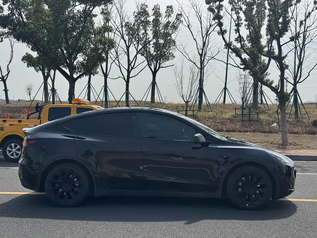 Tesla Model Y 2022 Rear-Wheel Drive 2022 - thumbnail 3