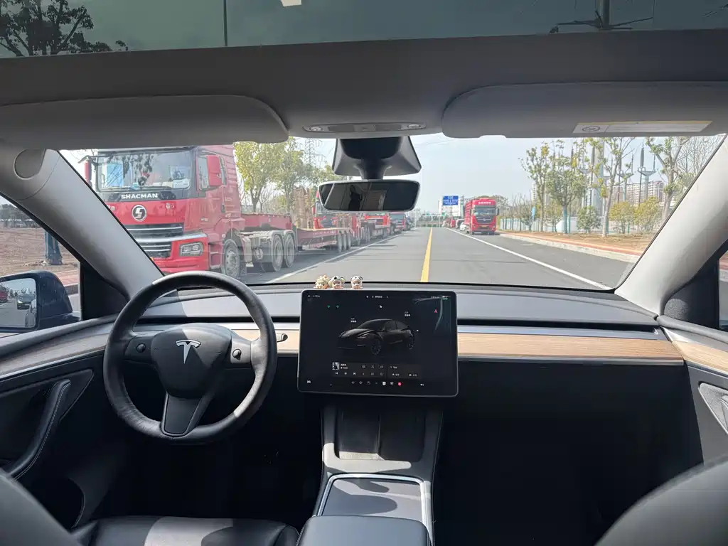 Tesla Model Y 2022 Rear-Wheel Drive 2022 - thumbnail 7