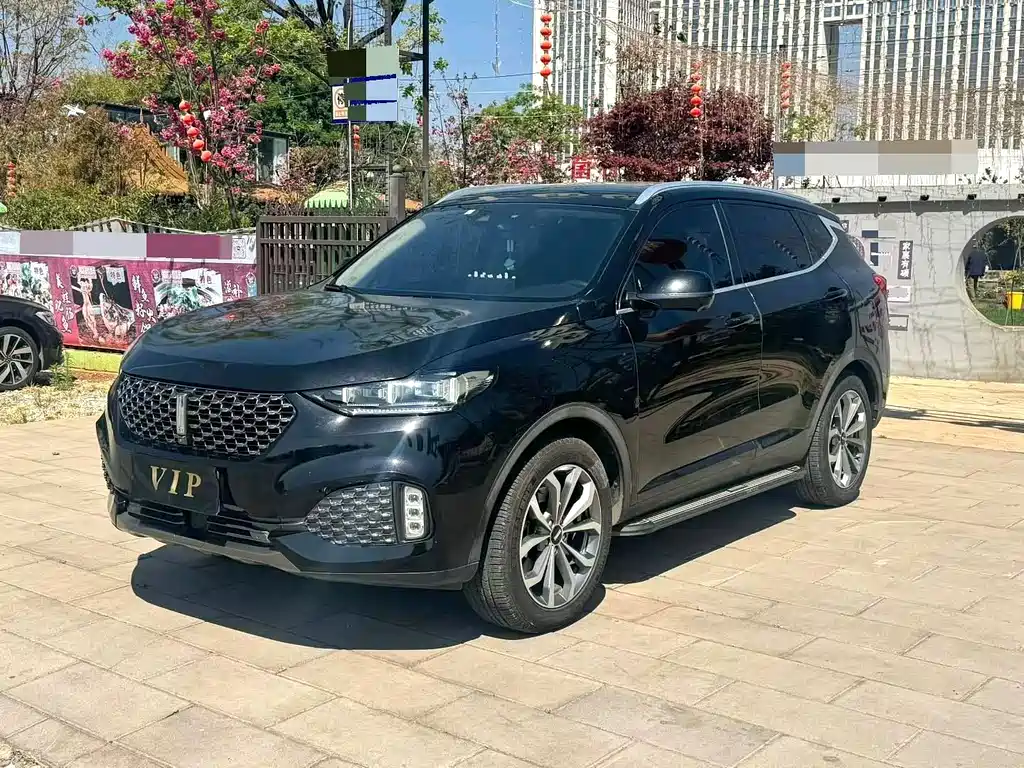 Wey WEY VV6 2020 2.0T Front-Wheel Drive Smart Joy+ 2020