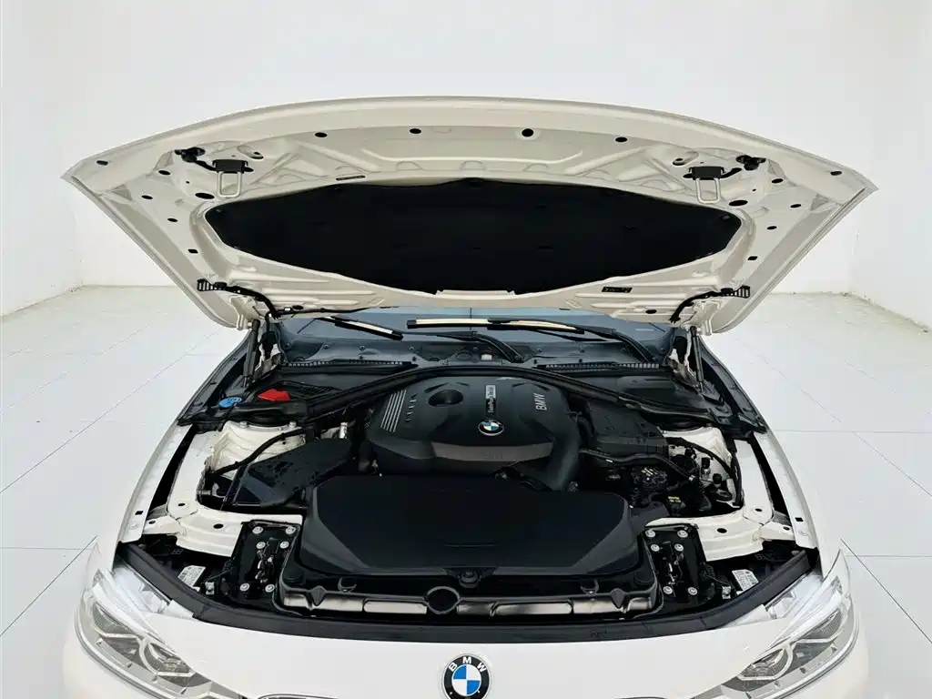 BMW BMW 3 Series 2018 320Li Fashion Edition 2018 - thumbnail 25