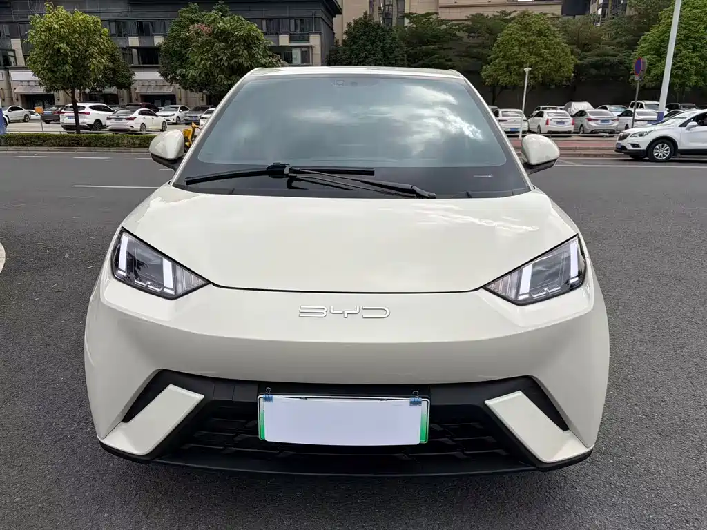 BYD BYD Haiou 2023 Flying Edition 2023 - thumbnail 2