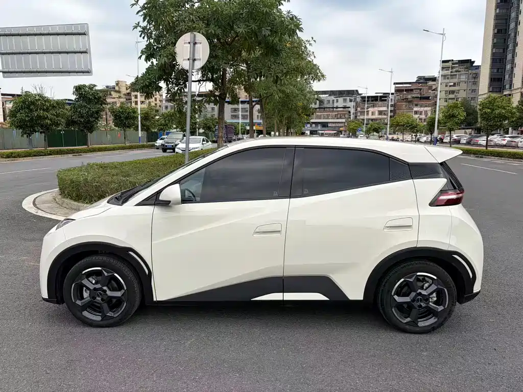 BYD BYD Haiou 2023 Flying Edition 2023 - thumbnail 3