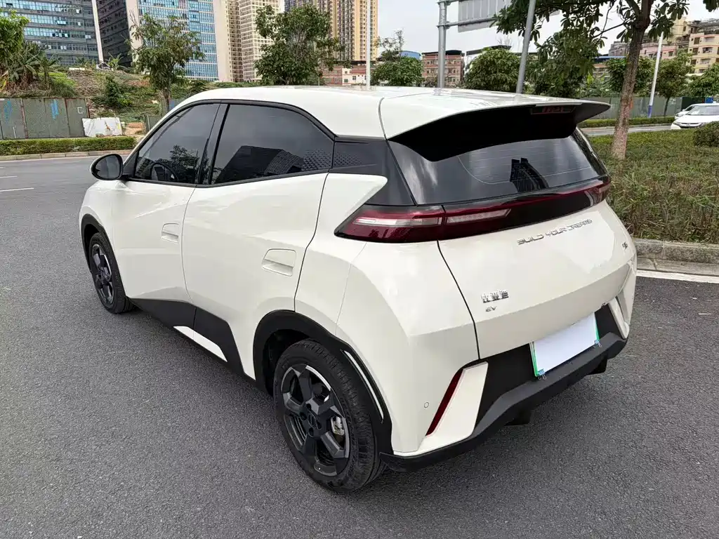 BYD BYD Haiou 2023 Flying Edition 2023 - thumbnail 4