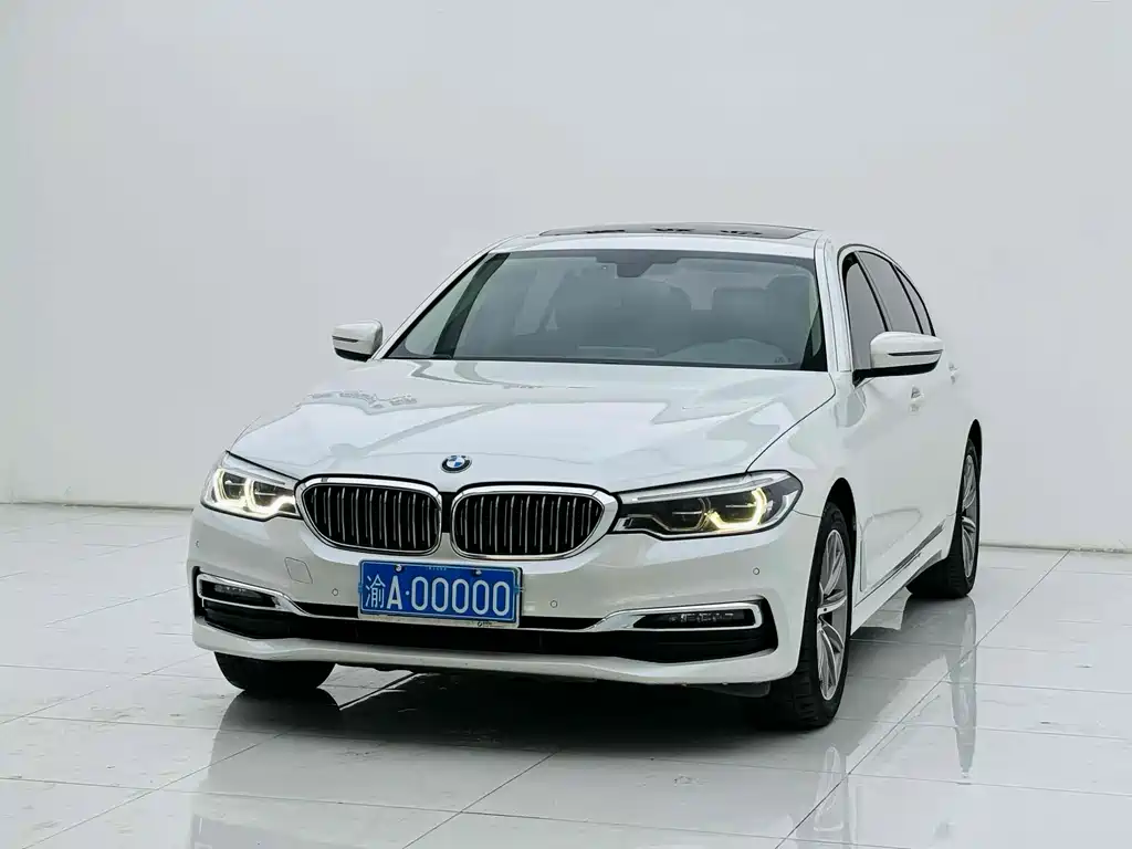 BMW BMW 5 Series 2018 530Li Luxury Package 2018