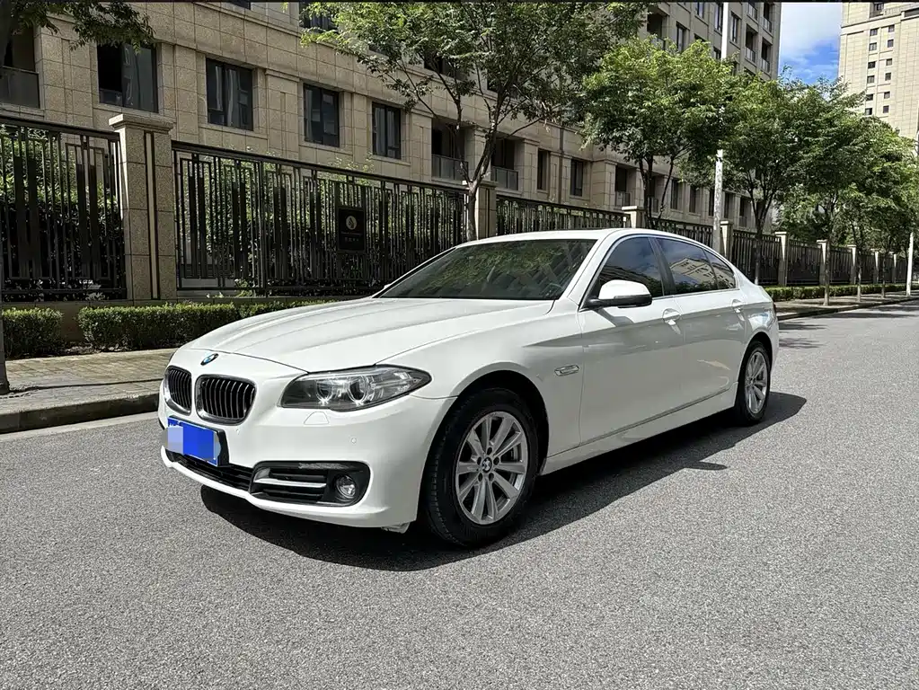BMW BMW 5 Series 2014 520Li Elegant 2014