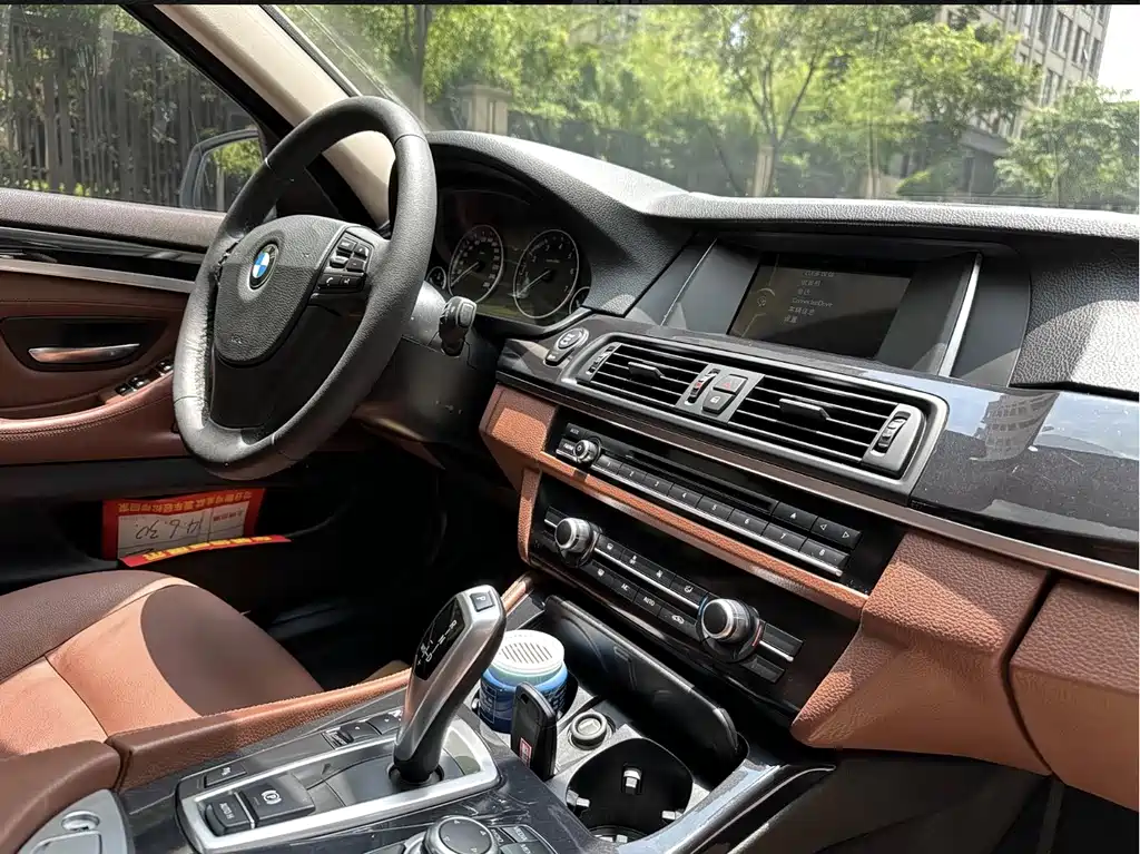 BMW BMW 5 Series 2014 520Li Elegant 2014 - thumbnail 9