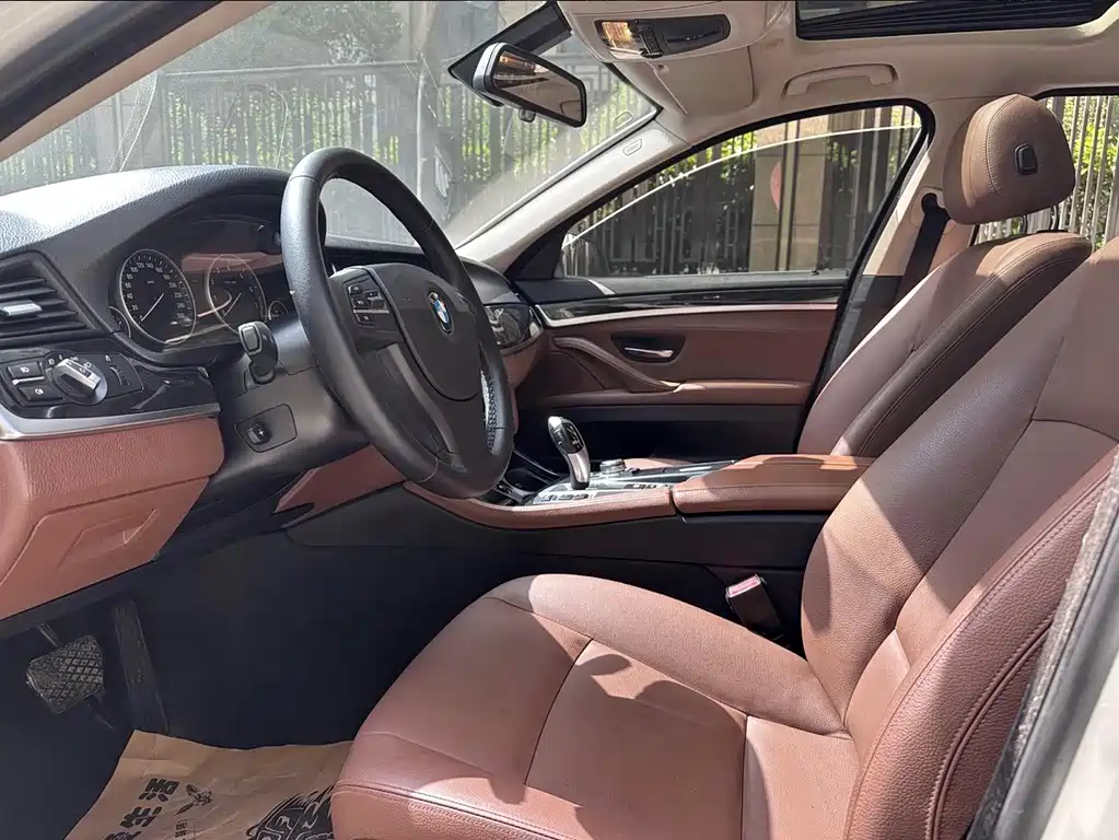 BMW BMW 5 Series 2014 520Li Elegant 2014 - thumbnail 11
