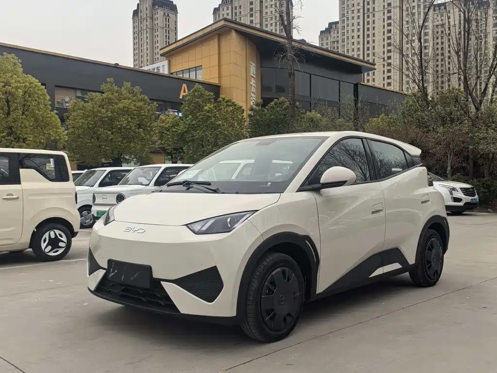 BYD Seagull 2025 305km Active Edition 2026