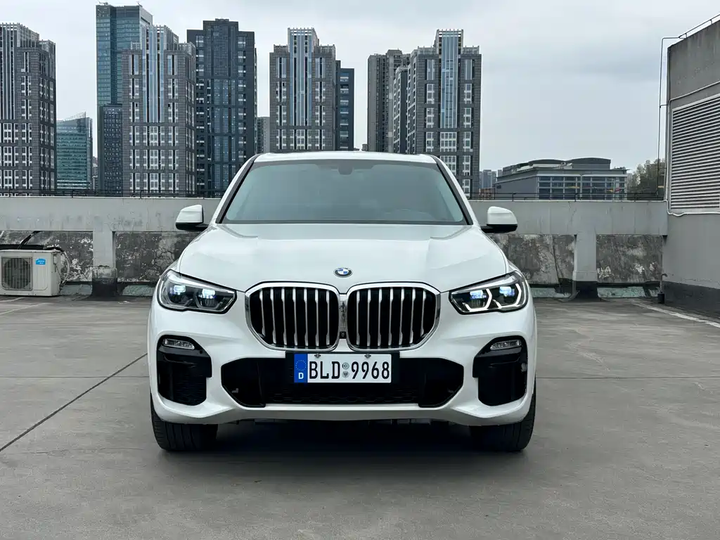 BMW BMW X5 (Imported) 2019 xDrive40i M Sport Package 2019 - thumbnail 2