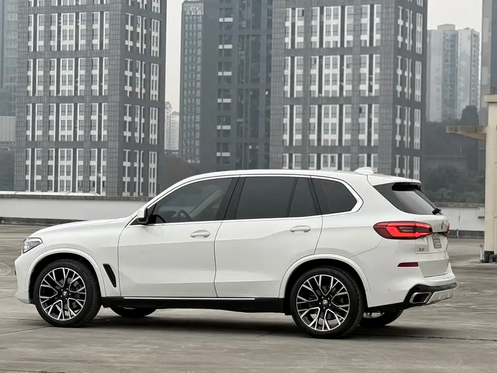 BMW BMW X5 (Imported) 2019 xDrive40i M Sport Package 2019 - thumbnail 8
