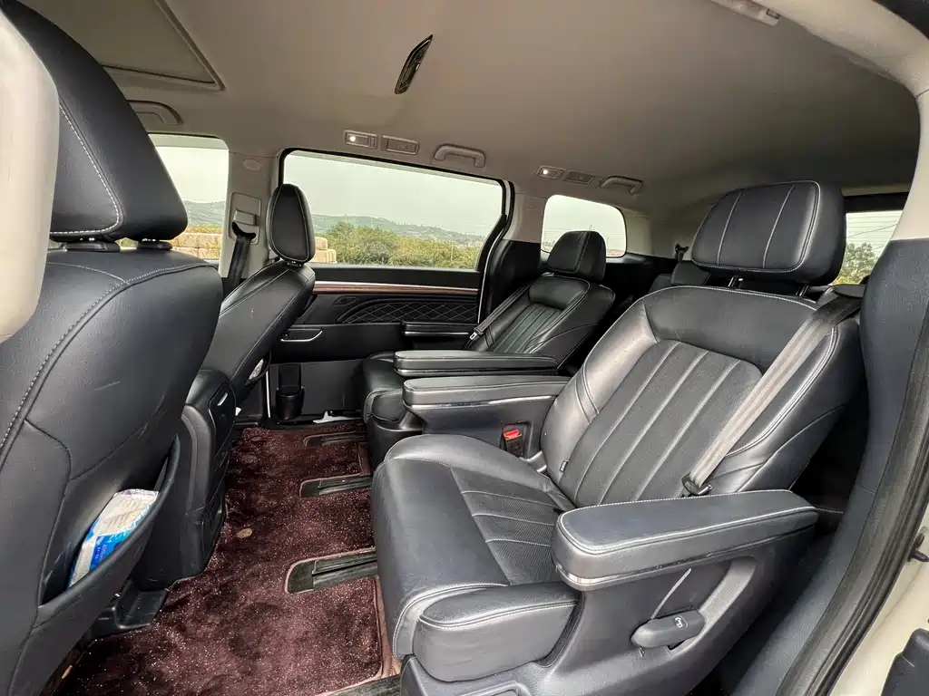 GAC Trumpchi GAC Trumpchi M8 2020 Edition Navigator 390T Premium 2020 - thumbnail 6