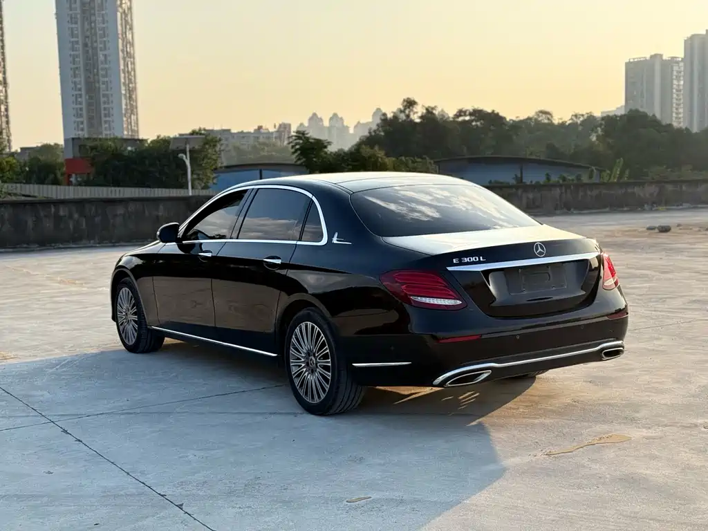 Mercedes-Benz Mercedes-Benz E-Class 2020 E 300 L Luxury 2020 - thumbnail 7