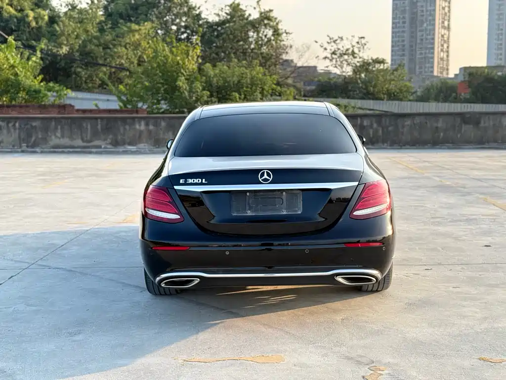Mercedes-Benz Mercedes-Benz E-Class 2020 E 300 L Luxury 2020 - thumbnail 8
