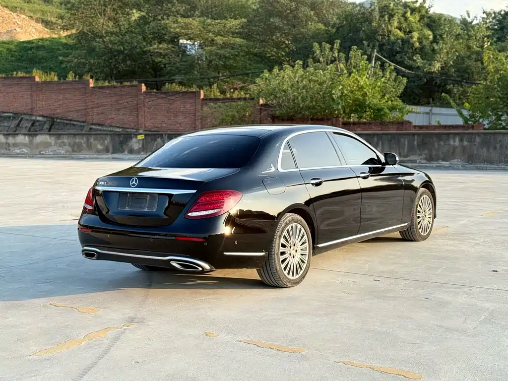 Mercedes-Benz Mercedes-Benz E-Class 2020 E 300 L Luxury 2020 - thumbnail 9