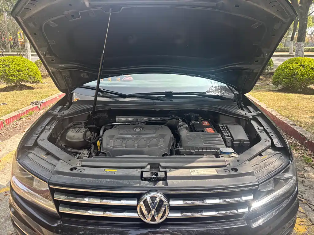 Volkswagen Tiguan L 2019 330TSI Automatic 2WD Panoramic Comfort Edition China VI 2019 - thumbnail 11