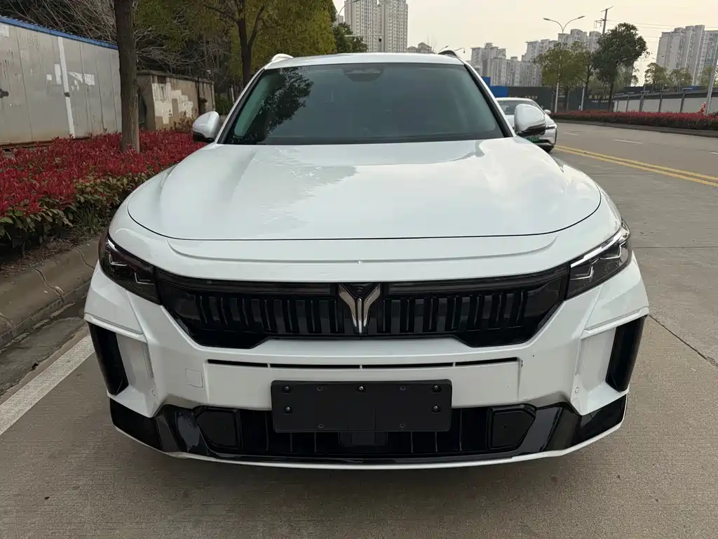 Lantu Auto Lantu FREE 2024 Long Range Intelligent Driving Edition 2023 - thumbnail 6