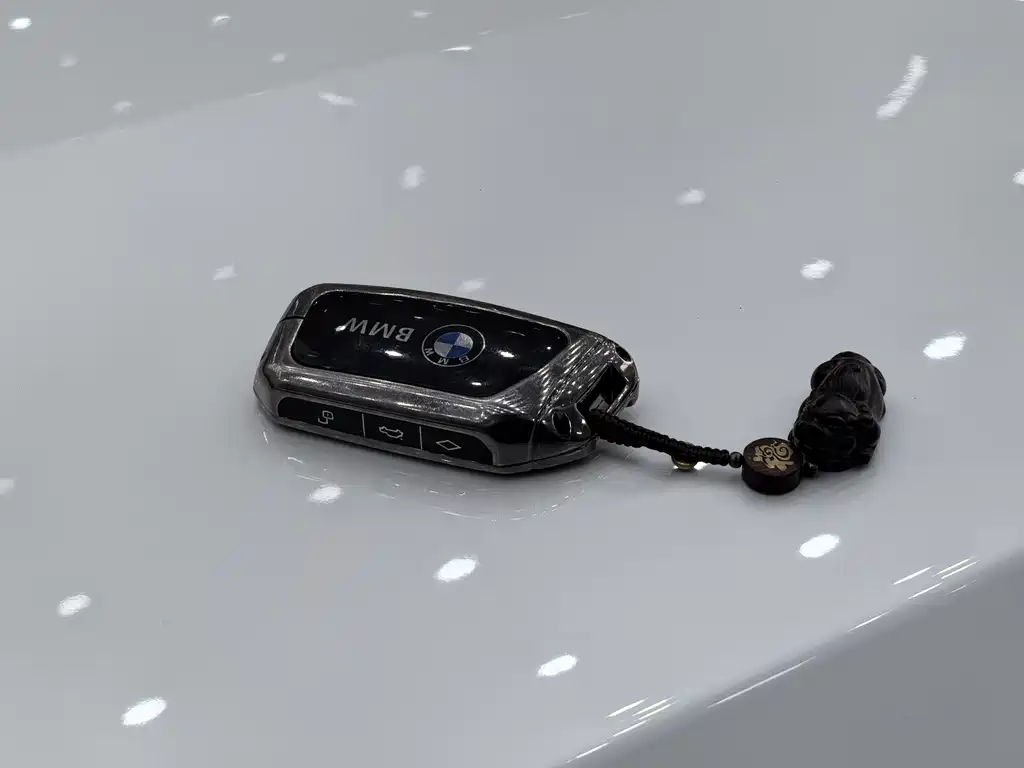 BMW BMW 5 Series 2025 530Li Leading Model M Sport Package 2025 - thumbnail 15