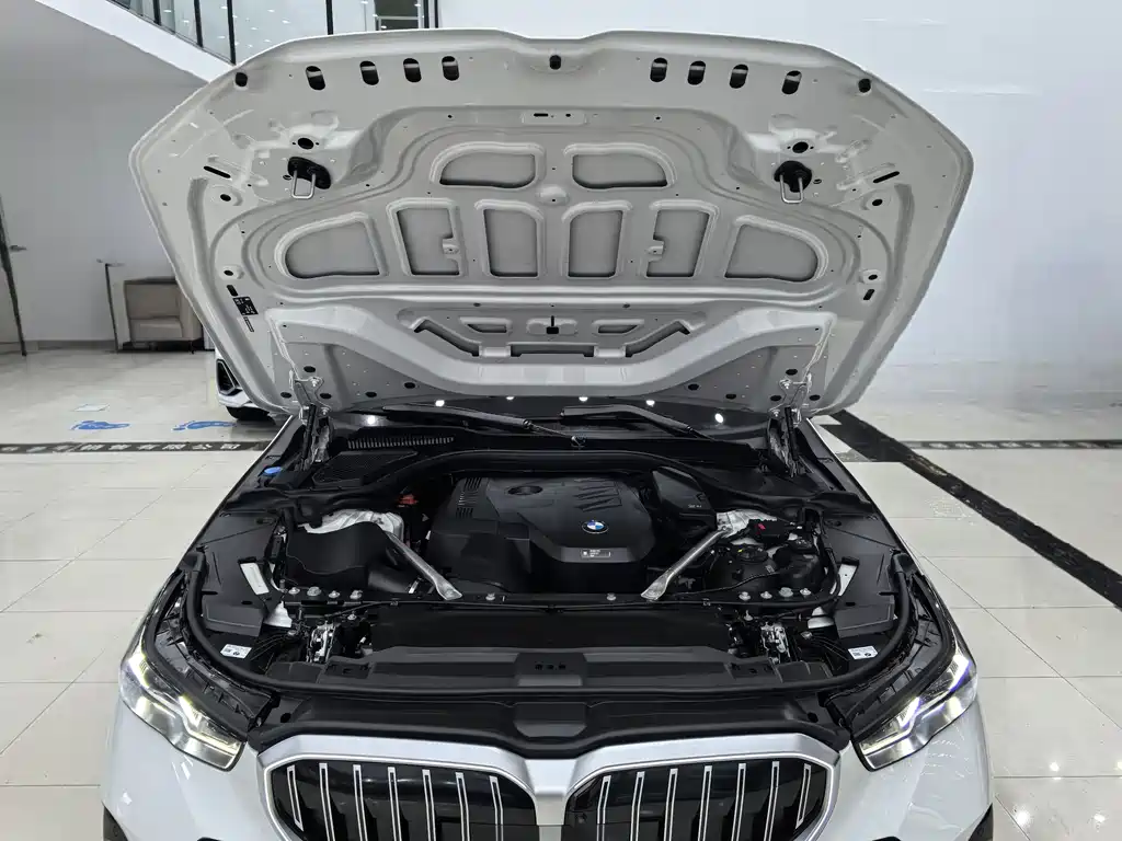 BMW BMW 5 Series 2025 530Li Leading Model M Sport Package 2025 - thumbnail 29