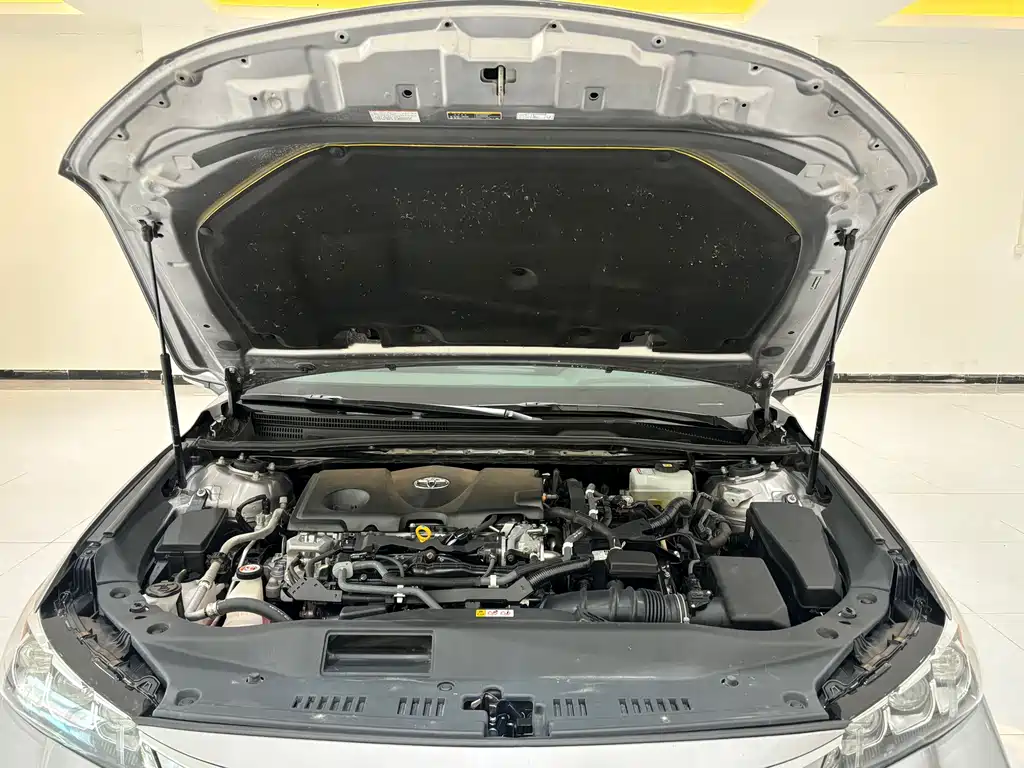 Toyota Avalon 2019 Model Hybrid 2.5L Luxury Version China V 2020 - thumbnail 16