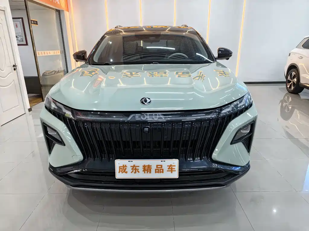 Dongfeng Fengshen Haoji 2022 Mahle Power 1.5T Ganxiang Version Yue 2022 - thumbnail 2