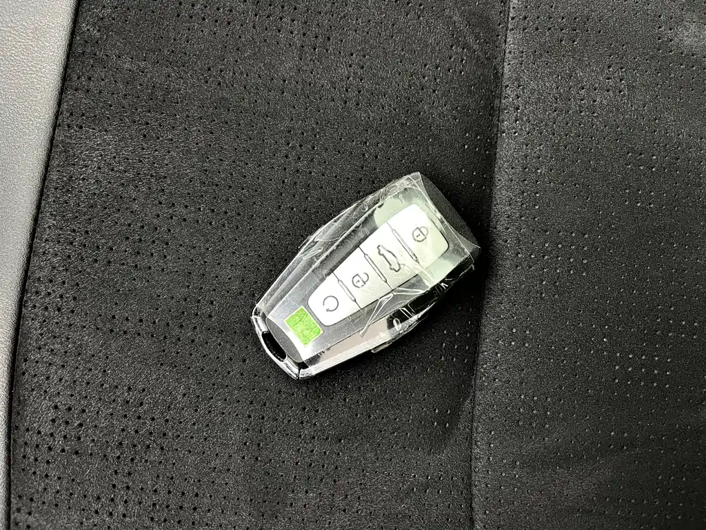 Geely Auto Haoyue L 2025 2.0T DCT Premium 2025 - thumbnail 17