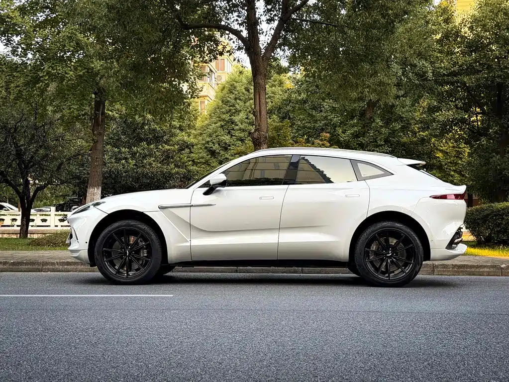 Aston Martin Aston Martin DBX 2023 3.0T Straight-Six 2022 - thumbnail 19