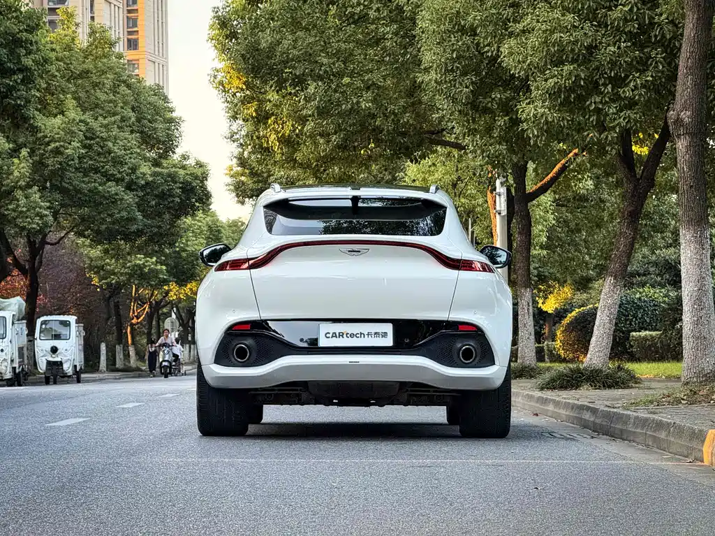 Aston Martin Aston Martin DBX 2023 3.0T Straight-Six 2022 - thumbnail 20