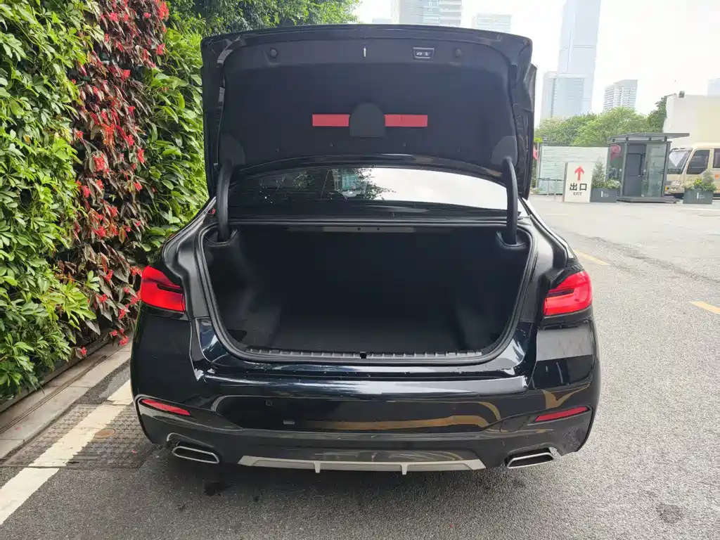 BMW BMW 5 Series 2022 525Li M Sport Package 2022 - thumbnail 6