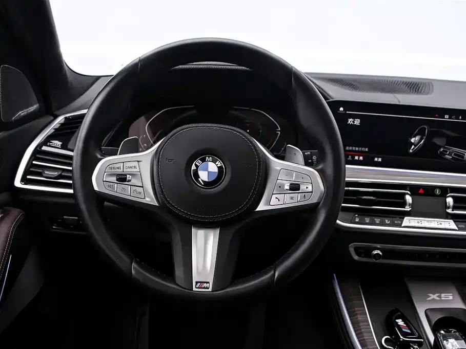 BMW BMW X5 xDrive 40Li M Sport Package 2022 Model Year 2023 - thumbnail 6