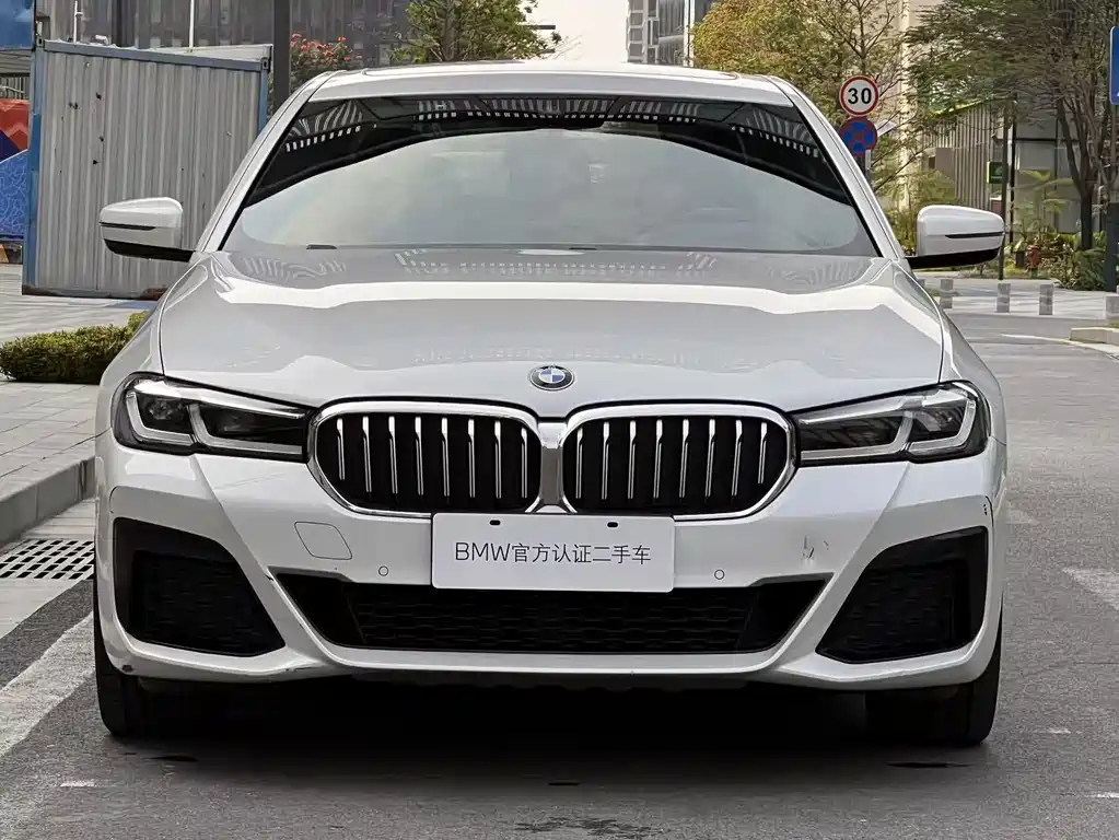 BMW BMW 5 Series 2021 530Li Leading Model M Sport Package 2021 - thumbnail 2
