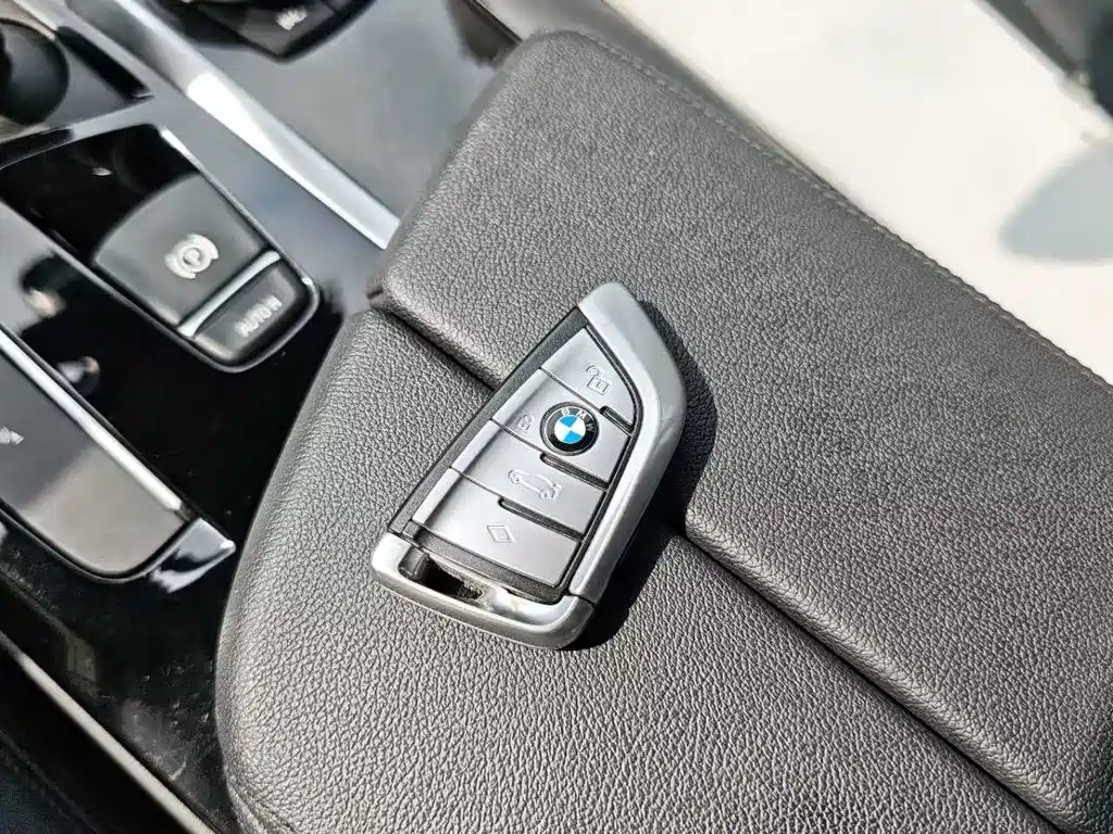 BMW BMW 5 Series 2019 Model Year Facelift 525Li M Sport Package 2019 - thumbnail 23