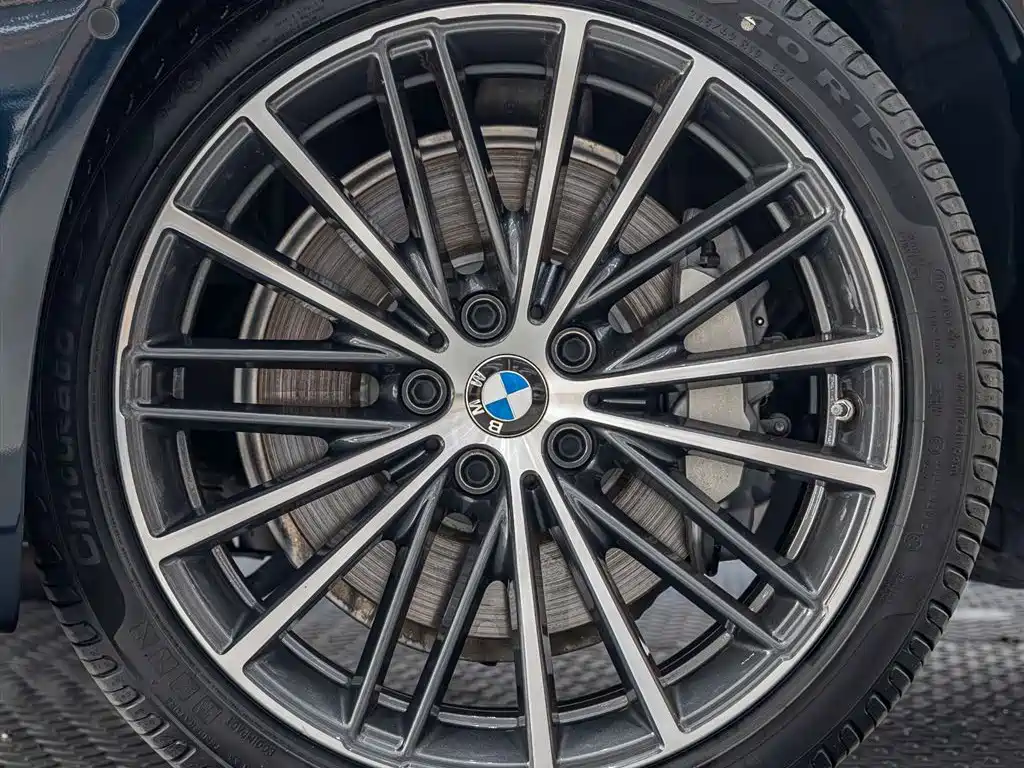 BMW BMW 5 Series 2023 530Li Leading Model M Sport Package 2024 - thumbnail 8
