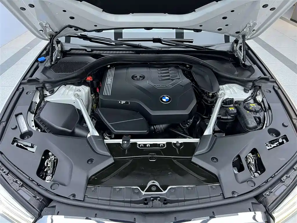 BMW BMW 5 Series 2021 Facelift 530Li xDrive Luxury Package 2021 - thumbnail 8