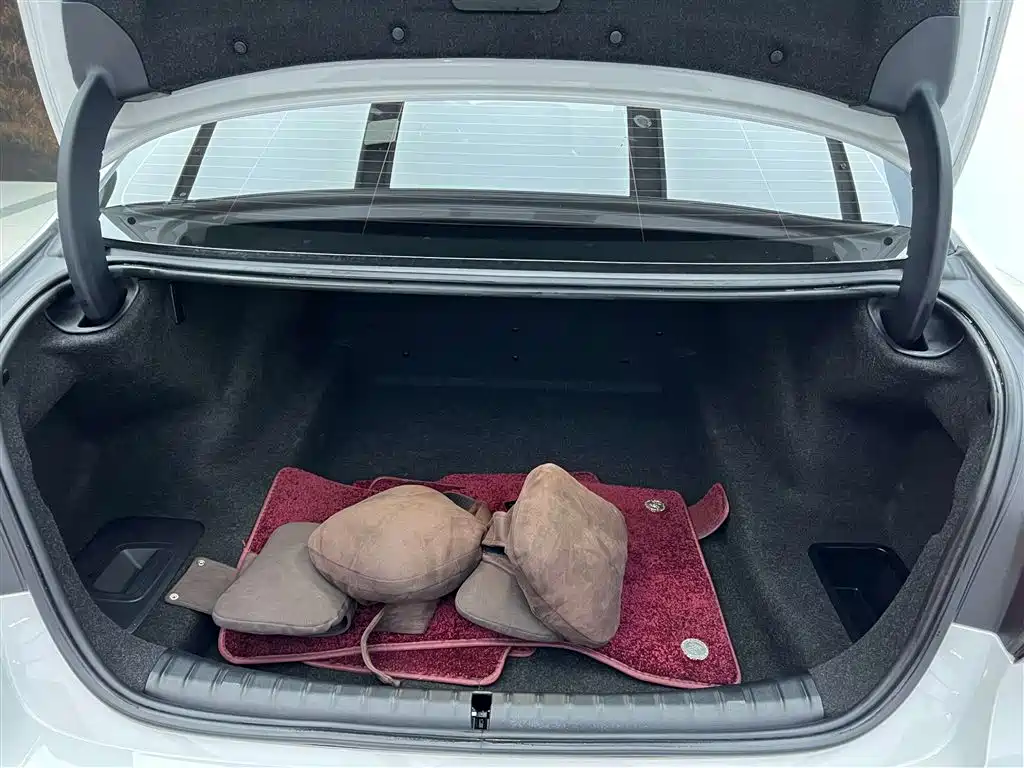 BMW BMW 5 Series 2021 Facelift 530Li xDrive Luxury Package 2021 - thumbnail 9
