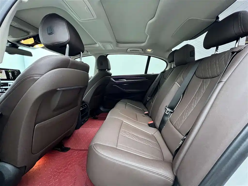 BMW BMW 5 Series 2021 Facelift 530Li xDrive Luxury Package 2021 - thumbnail 16