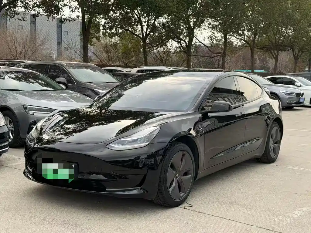 Tesla Model 3 Standard Range Rear-Wheel Drive Upgrade Version 2020 Facelift 2020 - thumbnail 3