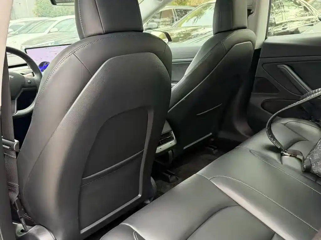 Tesla Model 3 Standard Range Rear-Wheel Drive Upgrade Version 2020 Facelift 2020 - thumbnail 6