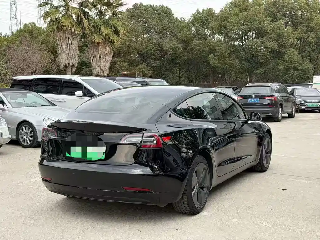 Tesla Model 3 Standard Range Rear-Wheel Drive Upgrade Version 2020 Facelift 2020 - thumbnail 7