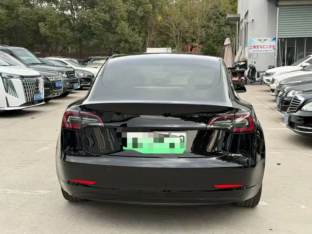 Tesla Model 3 Standard Range Rear-Wheel Drive Upgrade Version 2020 Facelift 2020 - thumbnail 8