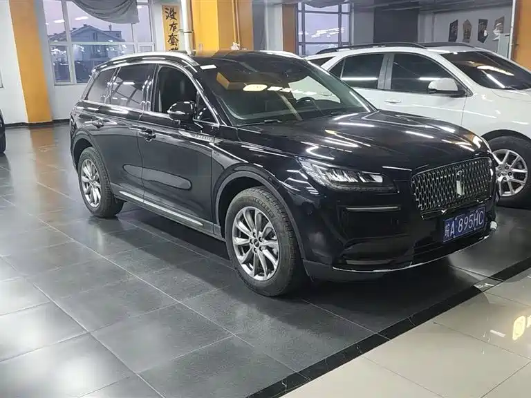 Lincoln Liberator 2021 2.0T Two-Wheel Drive Premium Edition 2021 - thumbnail 3