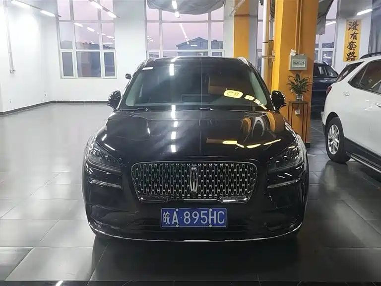 Lincoln Liberator 2021 2.0T Two-Wheel Drive Premium Edition 2021 - thumbnail 4